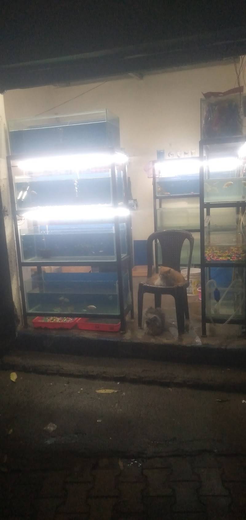 Entertainment Pet Shop